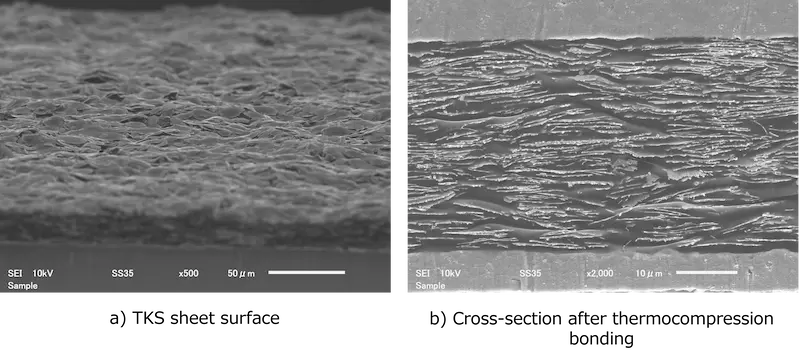Surface and cross-sectional observations of TKS Sheet after thermocompression bonding