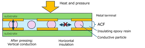 Cross-sectional structure and conduction mechanism using ACF