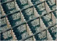 洗浄後のすのこ