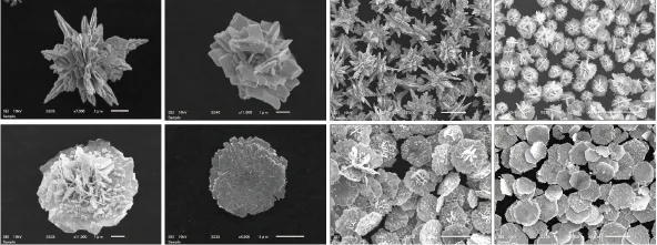 化研テック独自の特殊形状銀粉