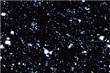 タルク_洗浄前
