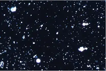 タルク_水系洗浄剤で洗浄後