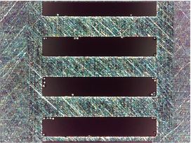 洗浄前3